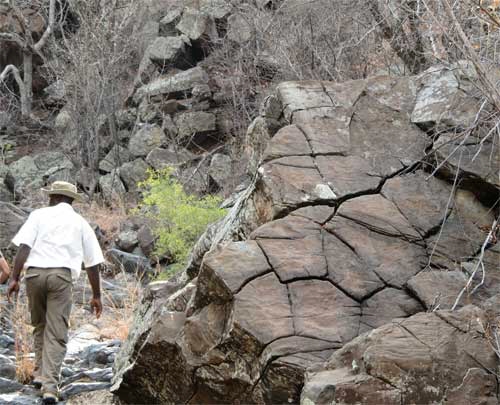 Olumnar Jointing in a peridotite